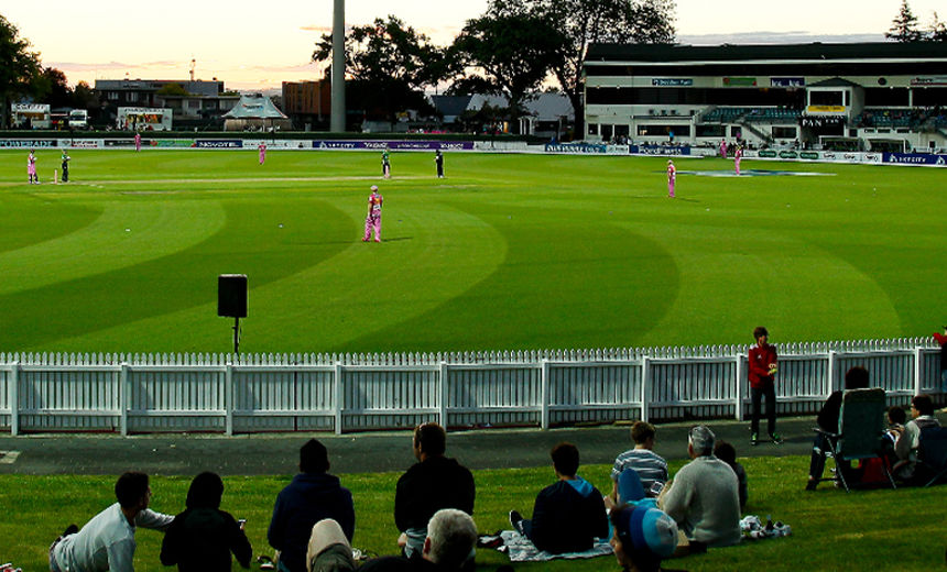 The Raised Lawn